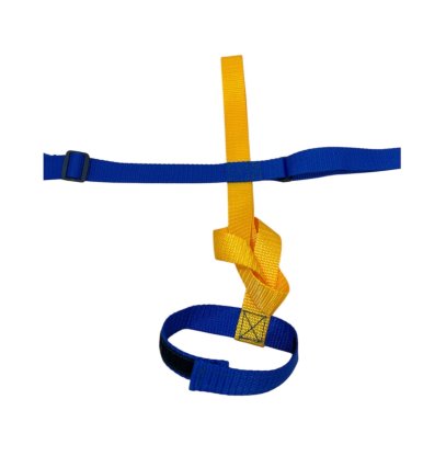 Photo: Child wrist harness